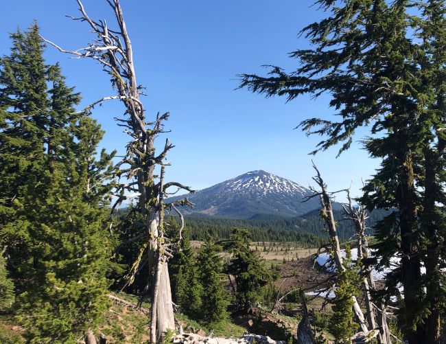 A view of Mt. Bachelor from a hiking trail in central Oregon.