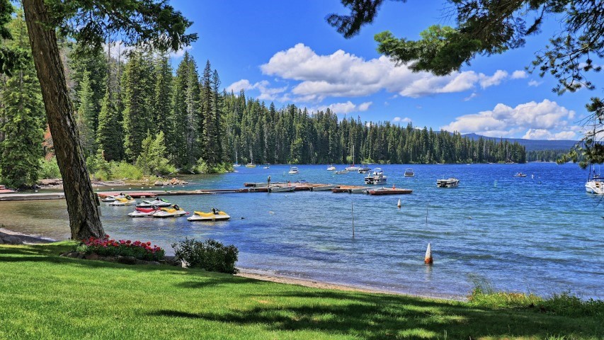 A view of the marina at Cultus Lake Resort on a sunny day.