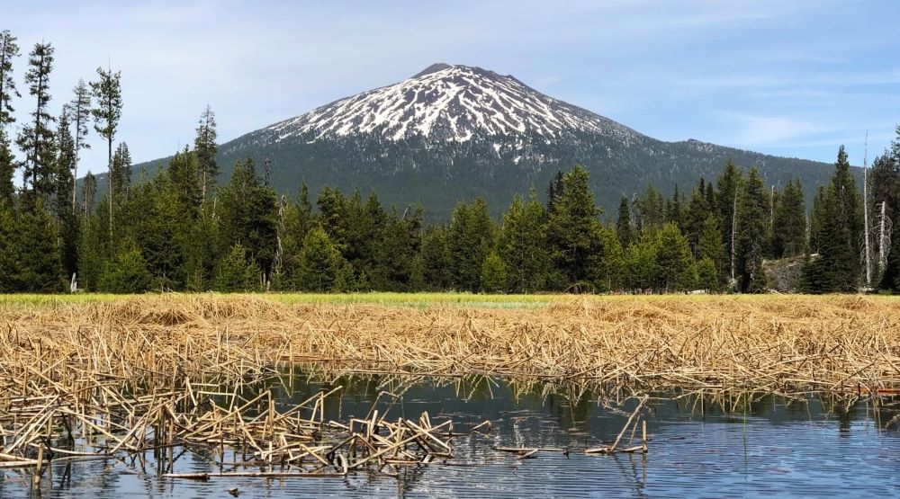 Views of Mt. Bachelor from Hosmer Lake.