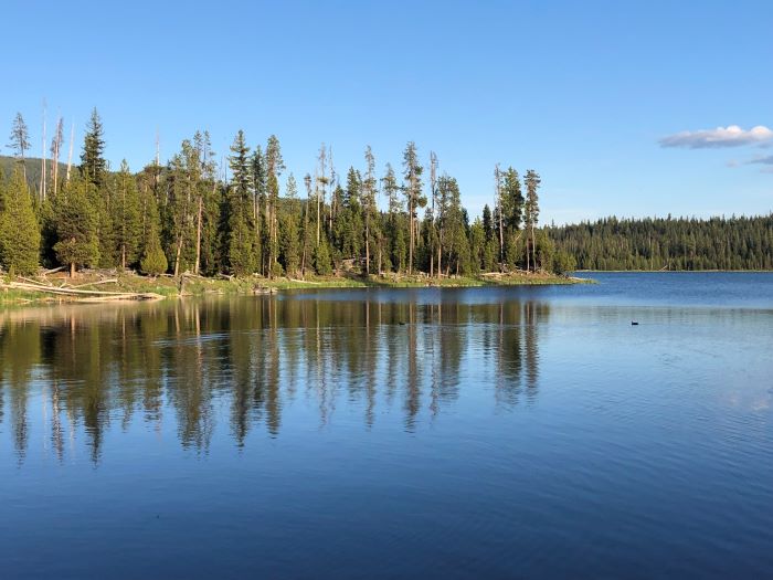 The shoreline of Little Lava Lake.