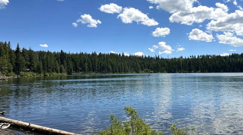 A pretty scene at Suttle Lake.