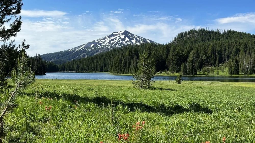 Views of Mt. Bachelor from the trail around Todd Lake.