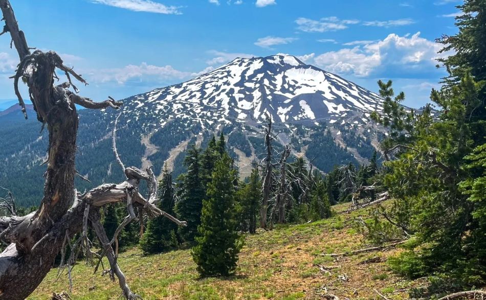 Views of Mt. Bachelor from Tumalo Mountain, one of the best hikes near Bend.