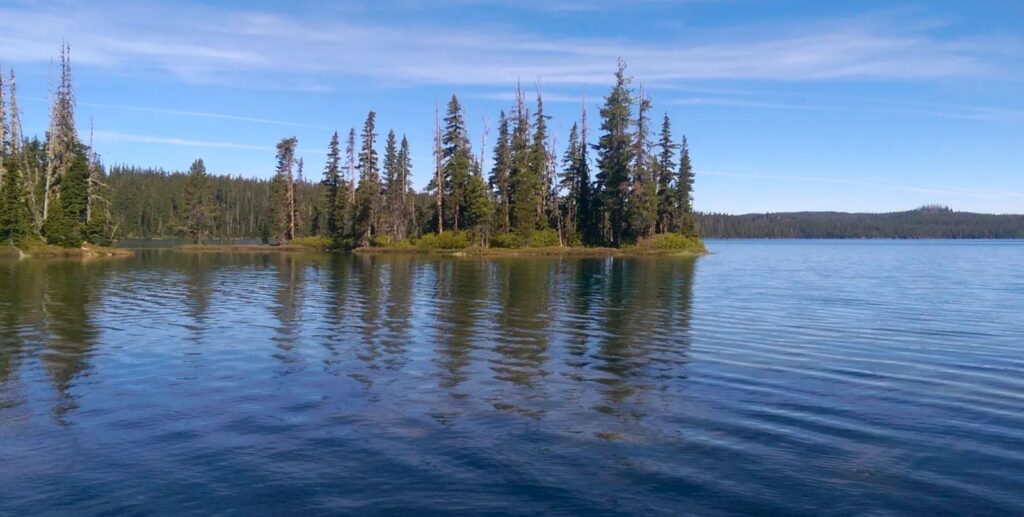 One of the islands at Waldo Lake.