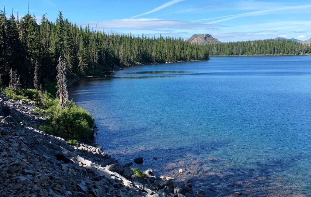 A view of the crystal-clear water at Waldo Lake.