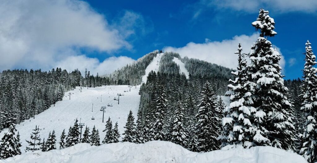 A view looking up towards the runs at Willamette Pass Ski Area.