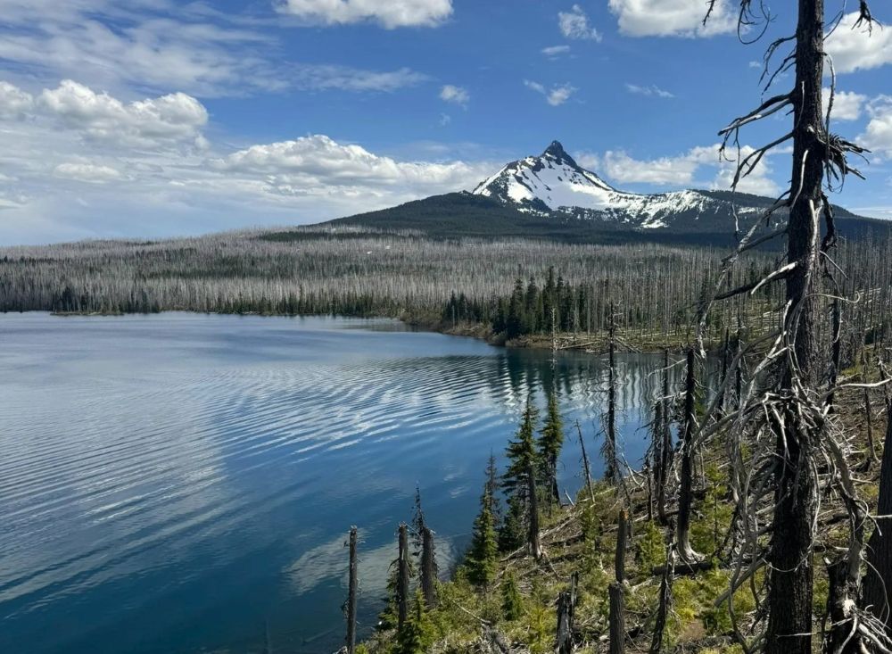 Views of Mt. Washington from the shoreline of Big Lake in Oregon.