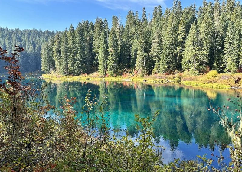 The blue-green color of Clear Lake in Oregon on a sunny day. 