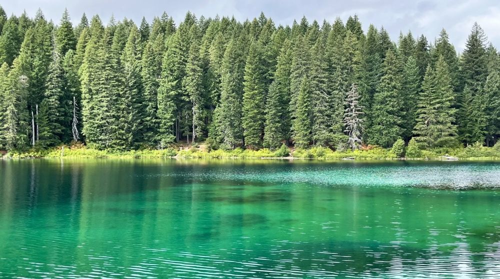 The amazing color of Clear Lake in Oregon.