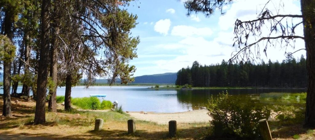 A shoreline beach area at Crane Prairie Campground.