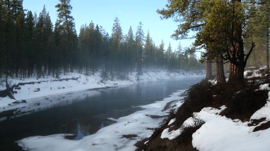 LaPine State Park, a year round RV campground near Bend, on a sunny winter day.