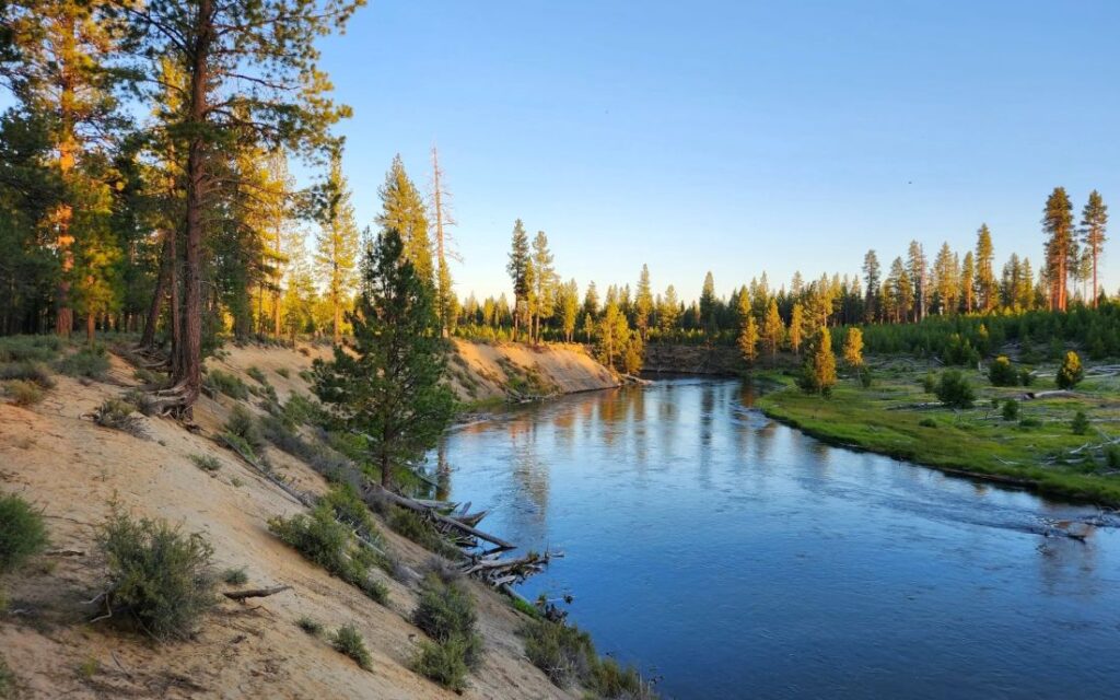 The Deschutes River flowing through La Pine State Park at sunrise.