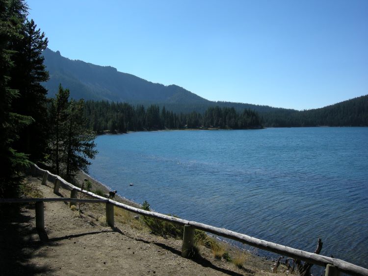 A lakeside campsite at Little Crater Campground by Paulina Lake Oregon.
