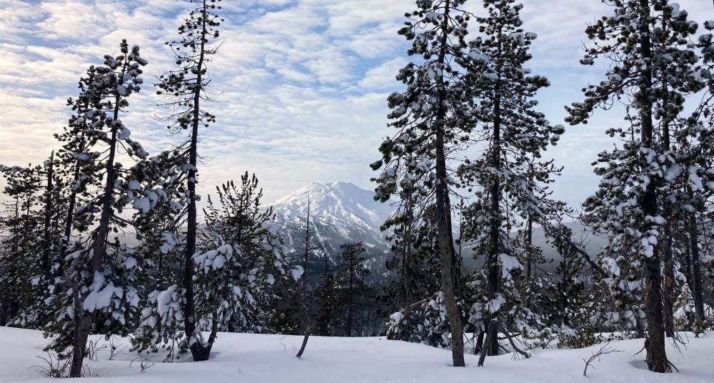 Views of Mt. Bachelor from Vista Butte Sno Park.