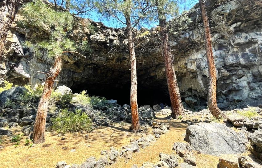 The mouth of Arnold Ice Cave behind some trees.