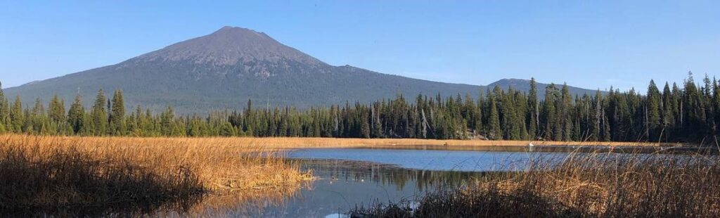 Mt. Bachelor from Hosmer Lake