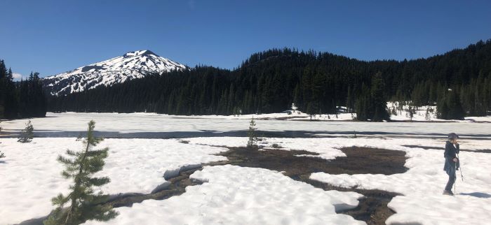 Todd Lake