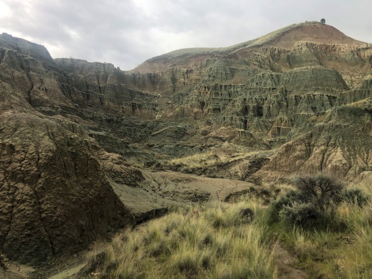 Blue Basin John Day Fossil Beds