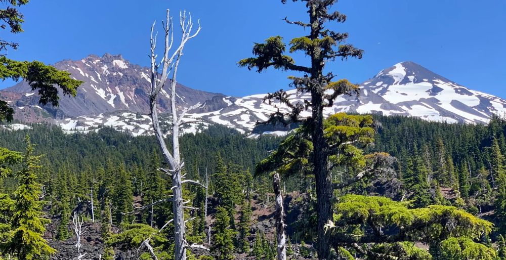 Mountain views along the Glacier Way Trail Loop.