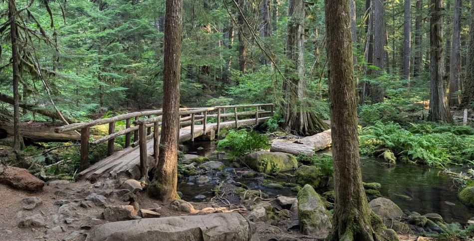 A bridge along the trail to Blue Pool.