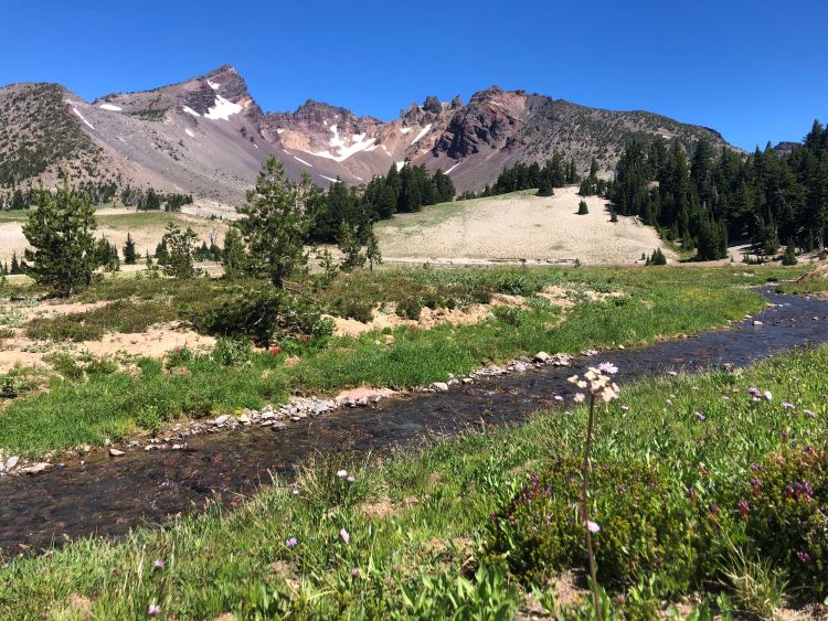 Views of Mt. Bachelor from the trail to No Name Lake.