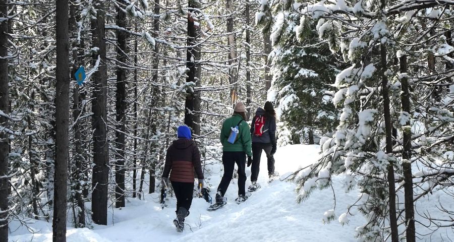 People snowshoeing near Bend at Virginia Meissner Sno-Park.