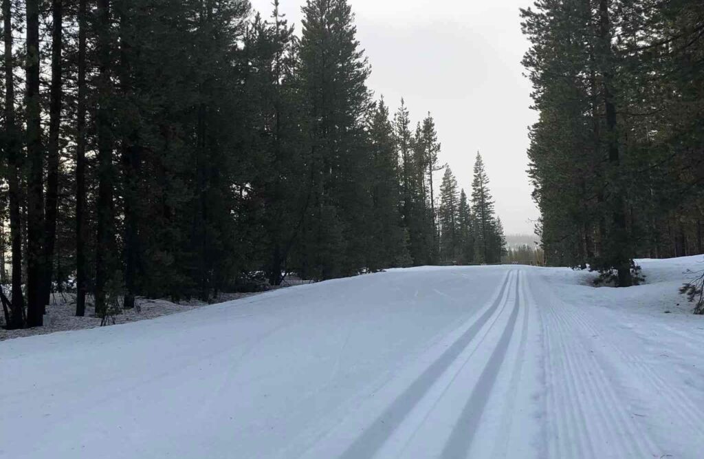 Virginia Meisser groomed ski trail