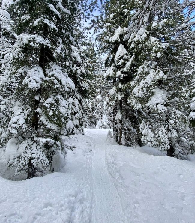 A snowshoe trail at Virginia Meissner Sno Park.