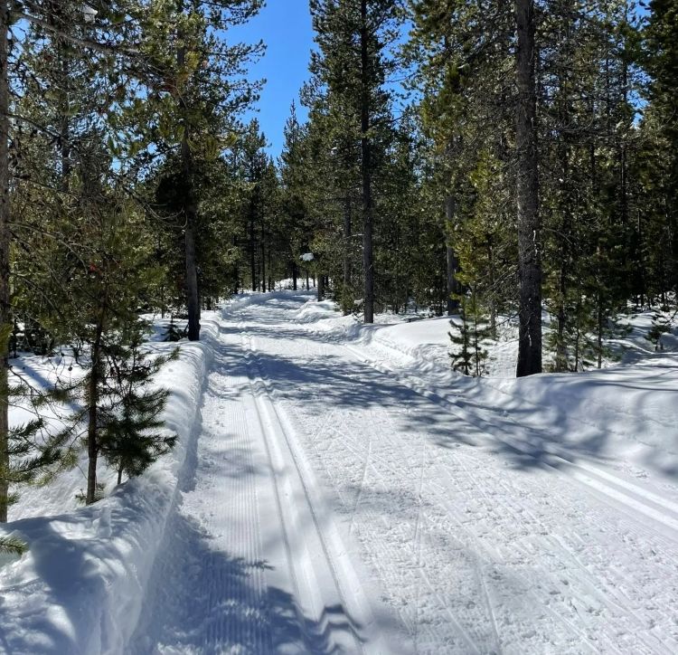 One of the many groomed cross country ski trails at Virginia Meissner Sno Park.