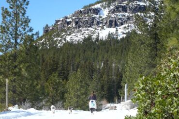 The beautiful scenery at Skyliner Sno Park on a sunny day