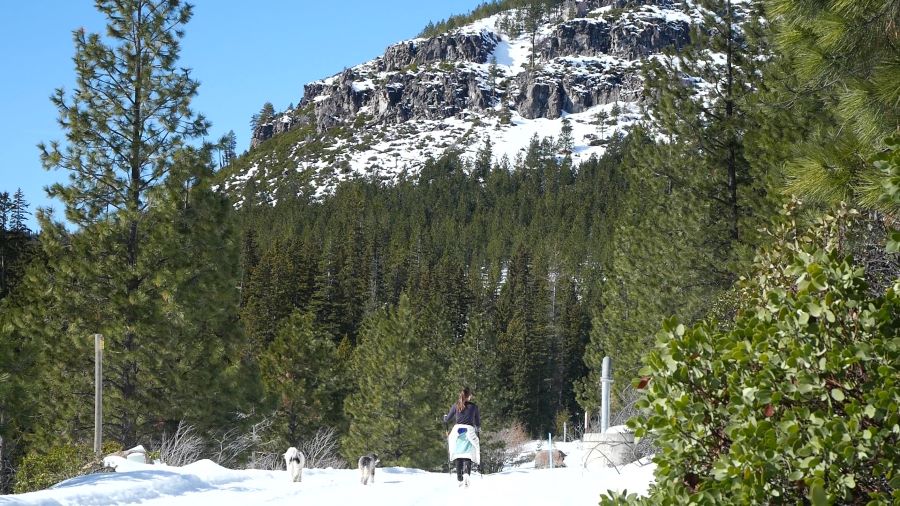 The beautiful scenery at Skyliner Sno Park on a sunny day