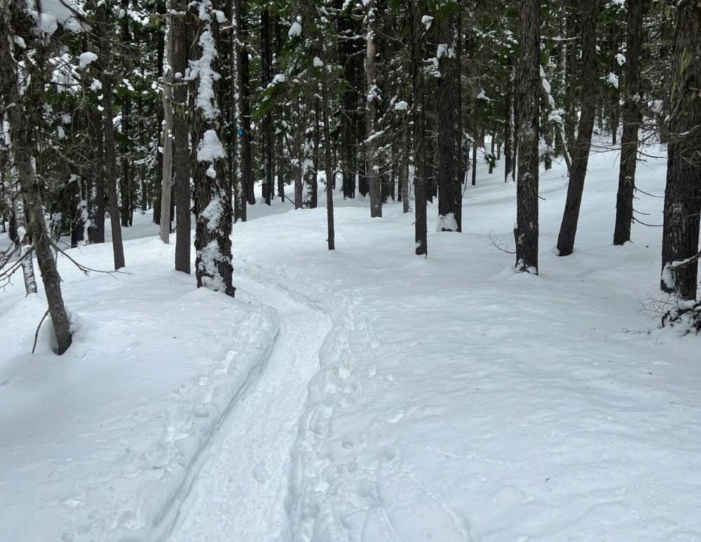 A marked snowshoe trail at Swampy Lakes Sno-Park.