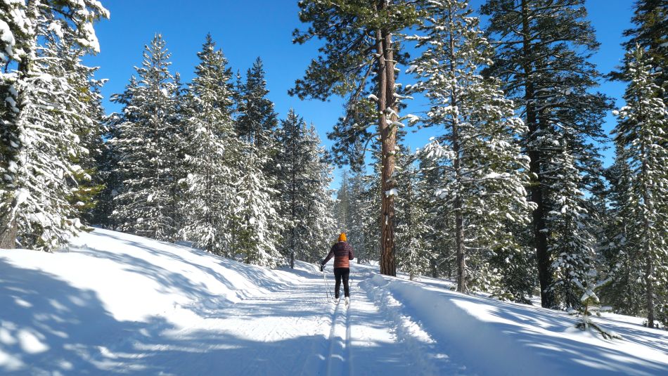 Groomed cross-country ski trails at Swampy Lakes Sno-Park.