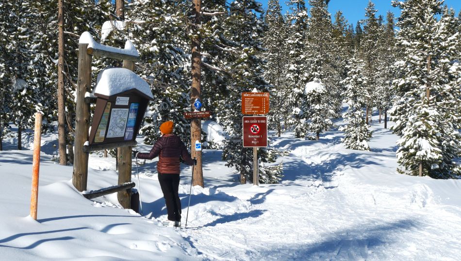 Abby reading signage at Swampy Lakes Sno-Park.