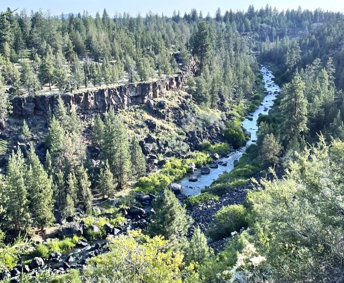 Views from the first street rapids section of the Deschutes River Trail.