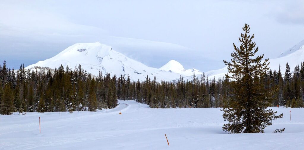 A view of South Sister from Dutchman Sno Park. 