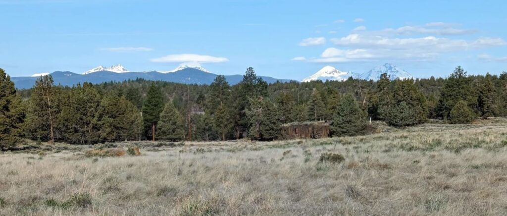 Some mountain views from Riley Ranch Nature Reserve.