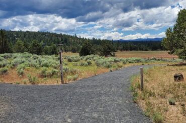 Views from one of the trails at Riley Ranch Nature Reserve.