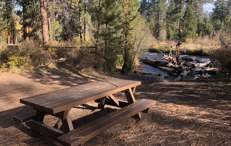 Picnic table Shevlin Park