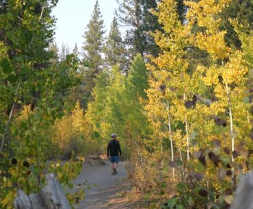 A hiker at Shevlin Park enjoying the dazzling fall colors.