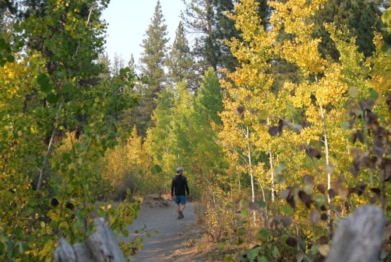 A hiker at Shevlin Park enjoying the dazzling fall colors.