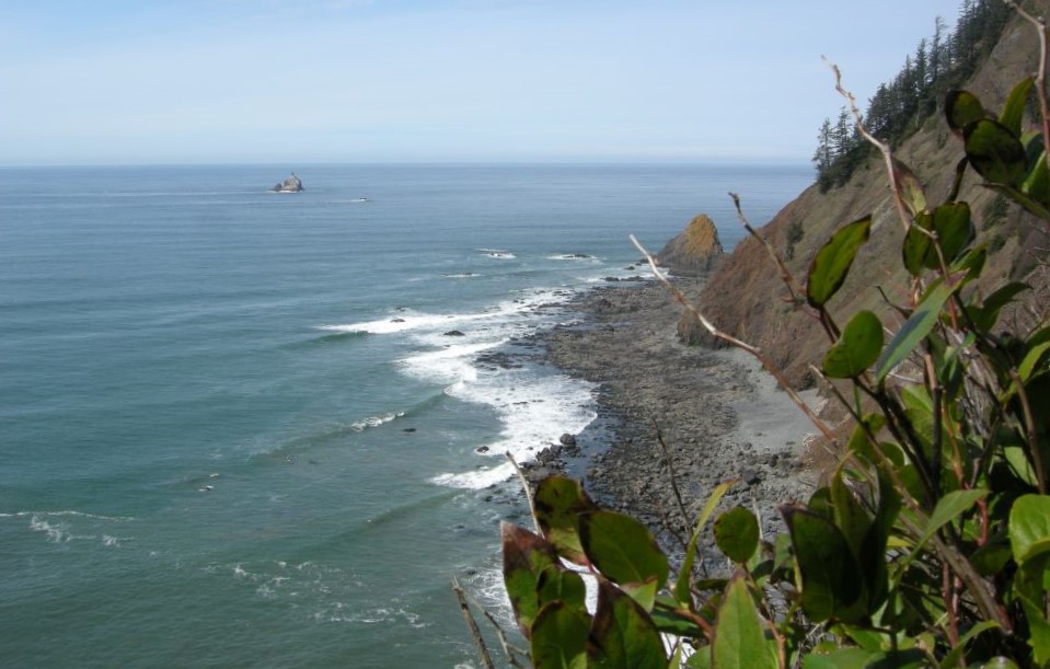 Views of the Tillamook Lighthouse from Ecola State Pake. 