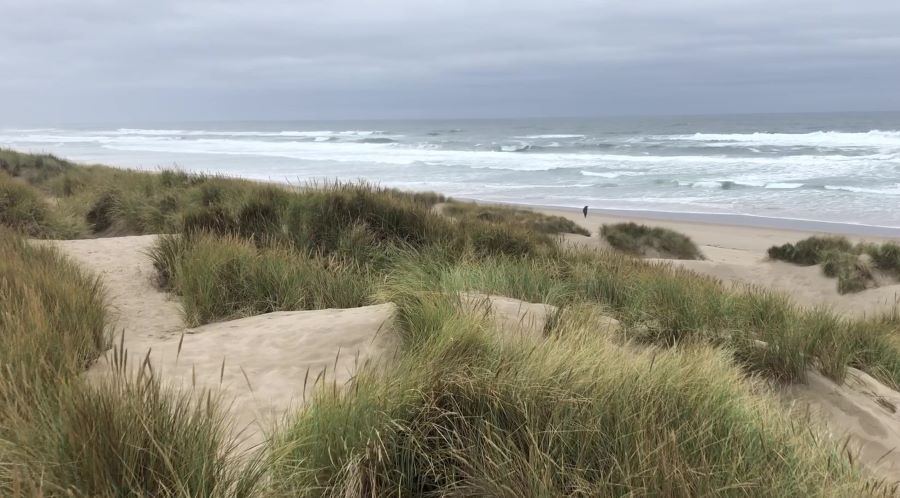 Sand dunes at Nehalem Bay State Park.