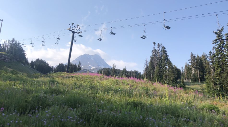 Mt. Hood Meadows chairlift during summer.
