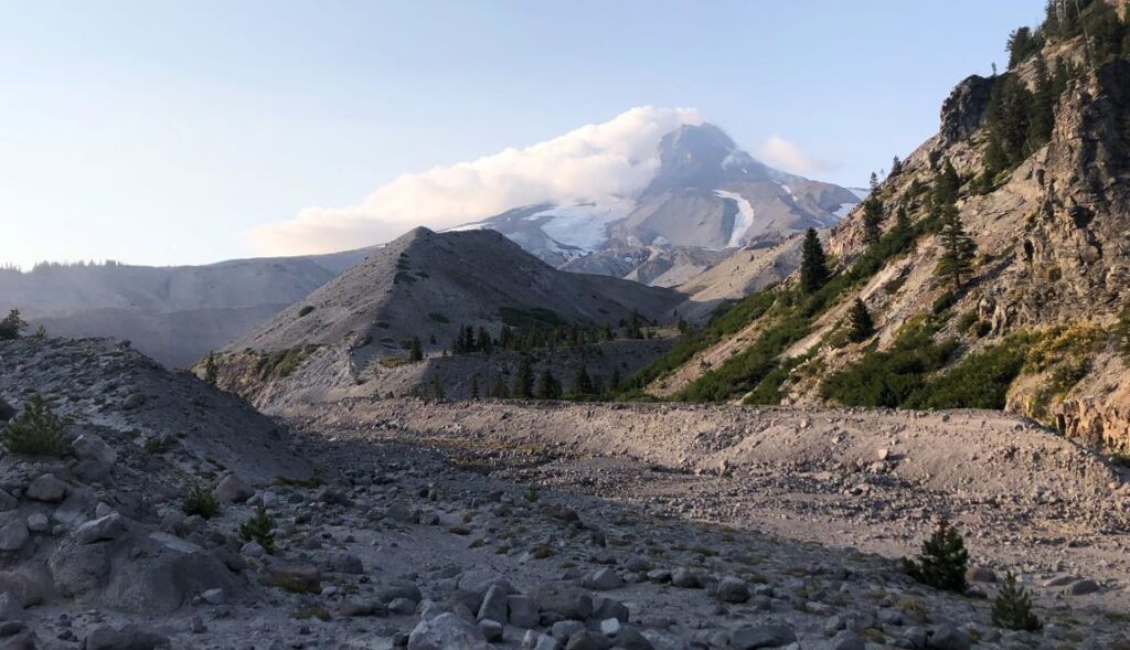 A view of Mt. Hood on the Timberline Loop Trail.