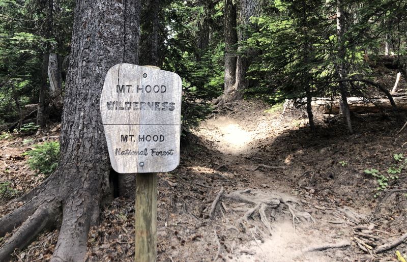 Signage at the entrance to the Mt. Hood Wilderness of Mt. Hood National Forest.