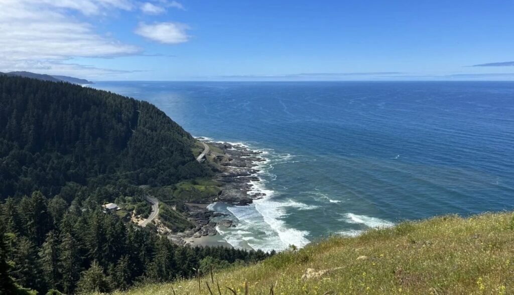 A view looking south from Cape Perpetua Lookout.