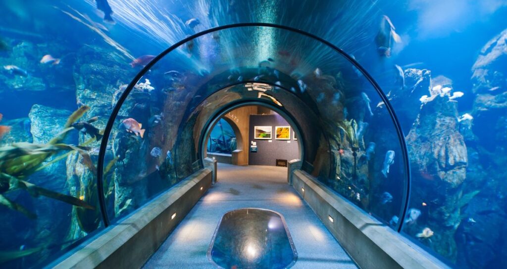 Newport Oregon Aquarium