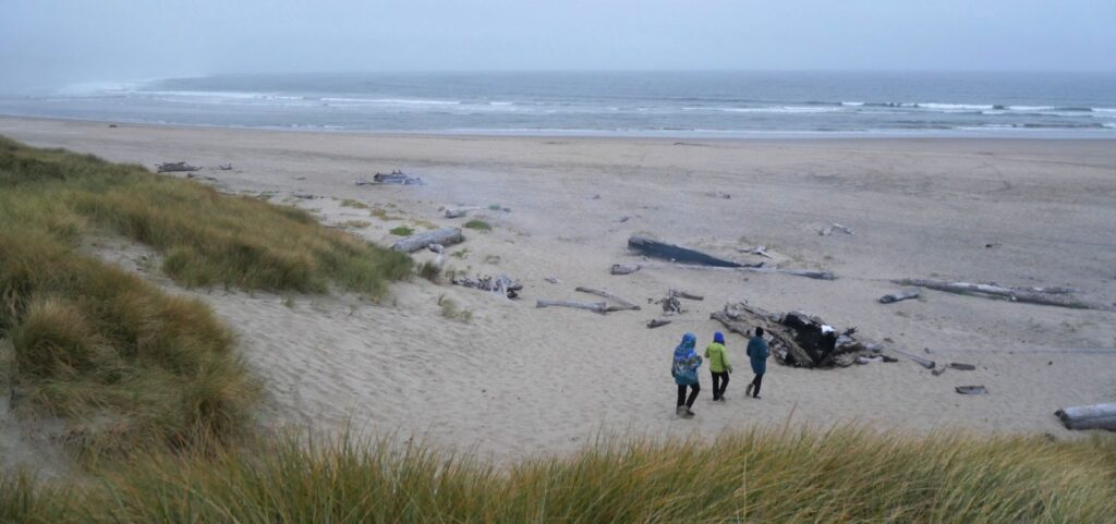 People on the beach at South Beach State Park in Newport Oregon.