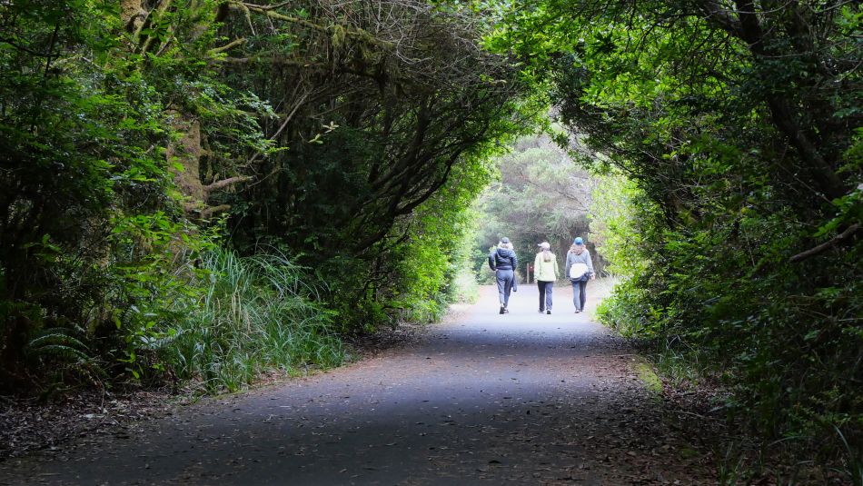 People exploring a paved trail at South Beach State Park in Newport Oregon.